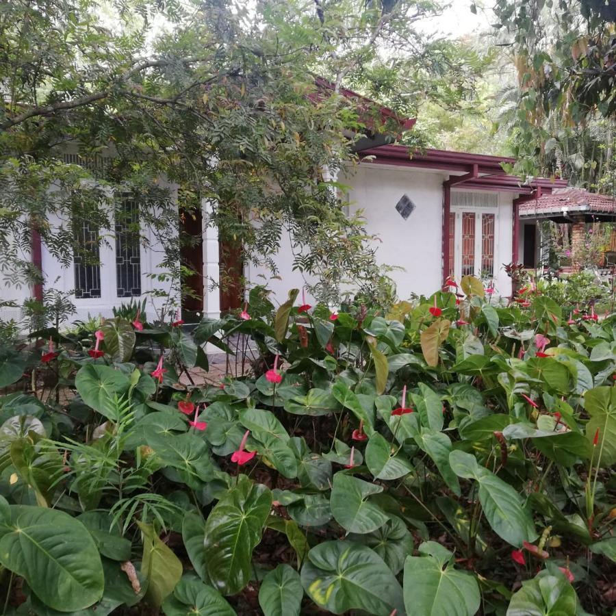 Villa Memories Hali Ela Exterior foto