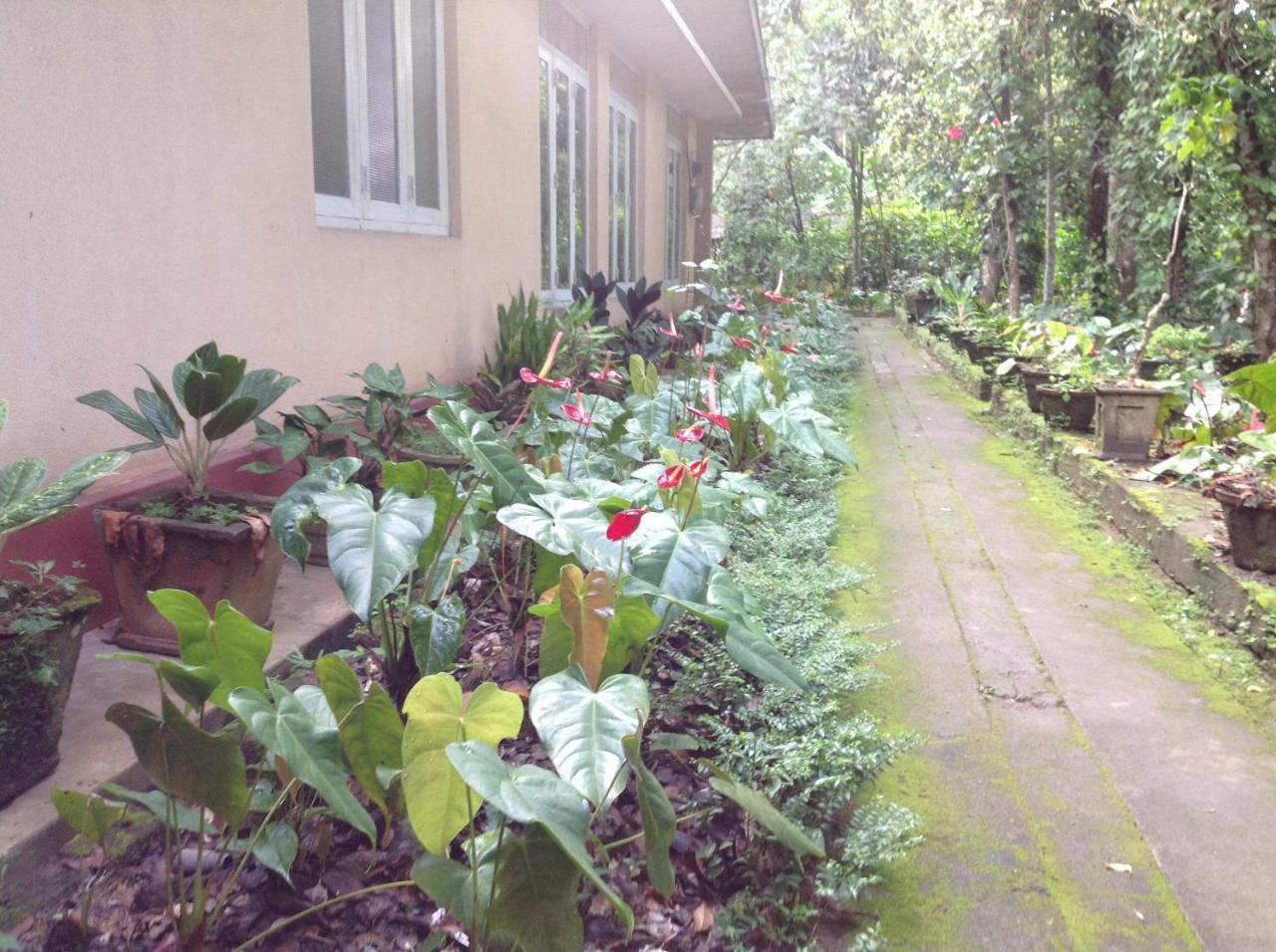Villa Memories Hali Ela Exterior foto
